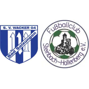 (1M) Wacker Bad Salzungen <span class="nowrap bold mx-1">2 : 1</span> FC St.-Hallenberg