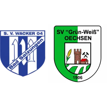 (E2) Wacker Bad Salzungen II <span class="nowrap bold mx-1">10 : 0</span> SV Grün-Weiß Oechsen