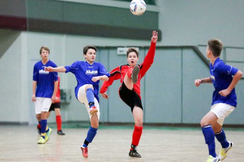 + Neues Fotoalbum im Netz +