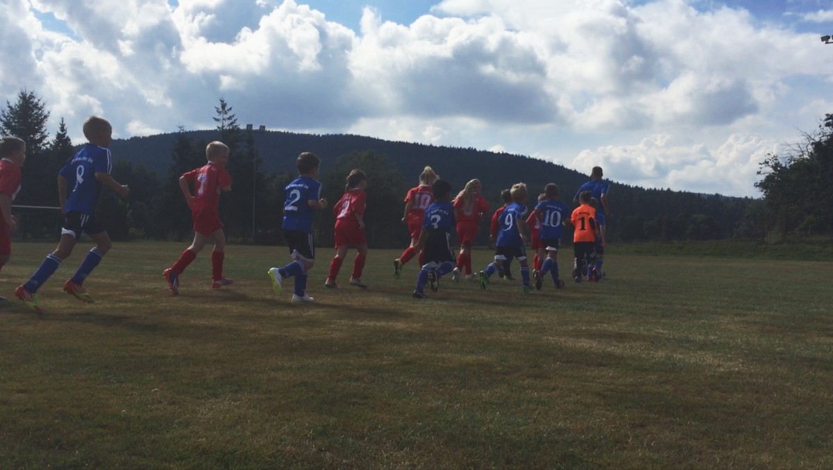 +++ Es kann los gehen +++