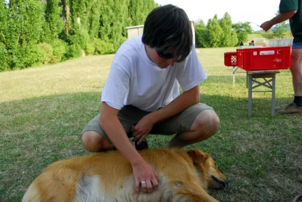 Wackertag 2008(Teil 2)