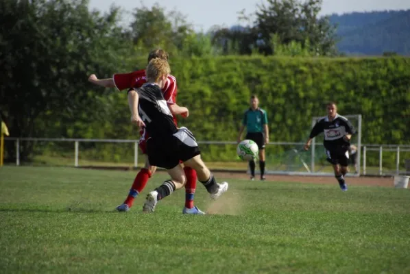 I.Mannschaft gegen Fambach(8.2008)