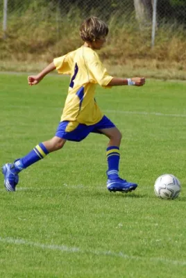 Dänemark 2008(die 200 besten Fotos)