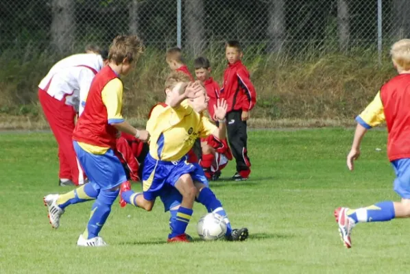 Dänemark 2008(die 200 besten Fotos)