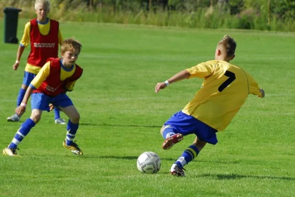 Dänemark 2008(die 200 besten Fotos)