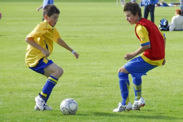 Dänemark 2008(die 200 besten Fotos)