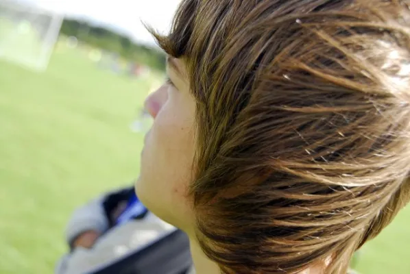 Dänemark 2008(die 200 besten Fotos)