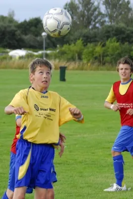 Dänemark 2008(die 200 besten Fotos)