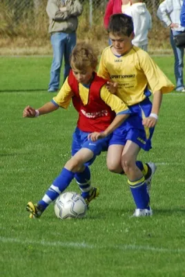 Dänemark 2008(die 200 besten Fotos)