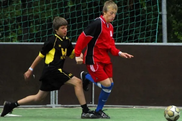 Dänemark 2008(die 200 besten Fotos)