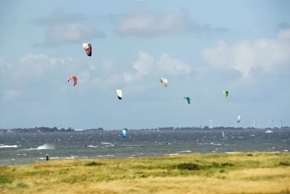 Dänemark 2008(die 200 besten Fotos)