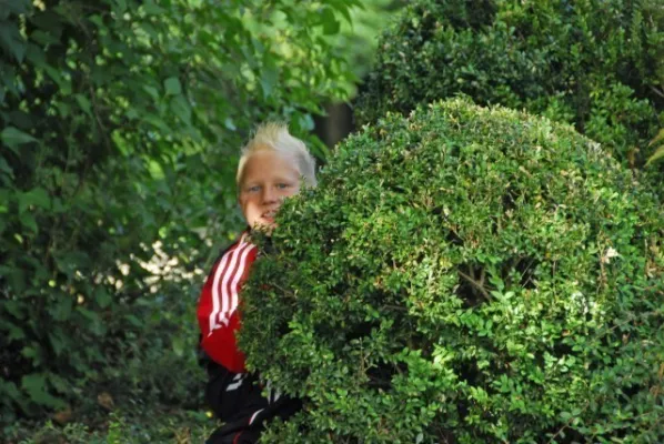 Dänemark 2008(die 200 besten Fotos)