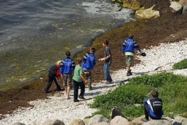 Dänemark 2008(die 200 besten Fotos)