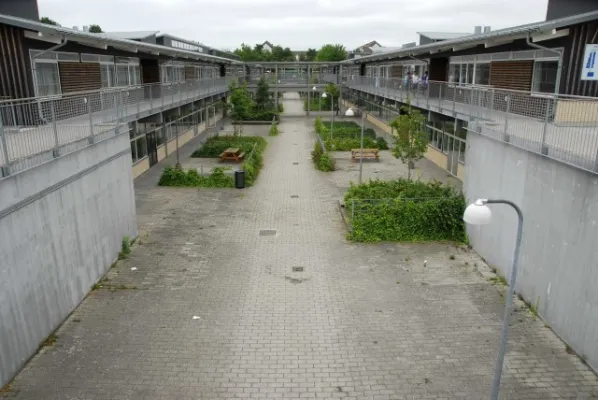 Dänemark 2008(die 200 besten Fotos)