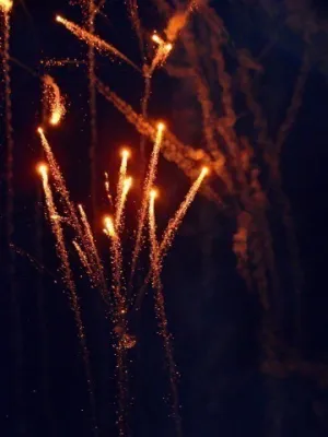 Dänemark 2008(die 200 besten Fotos)