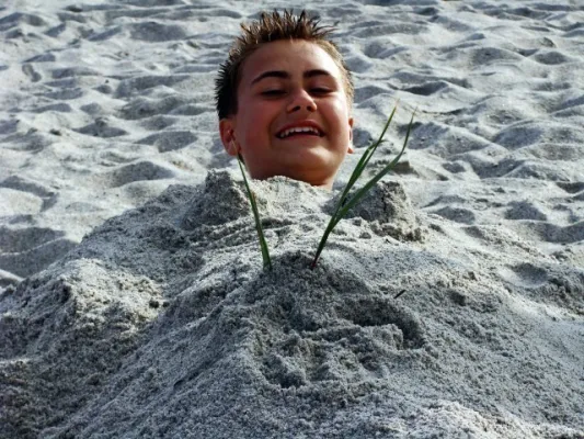 Dänemark 2008(die 200 besten Fotos)