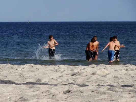 Dänemark 2008(die 200 besten Fotos)