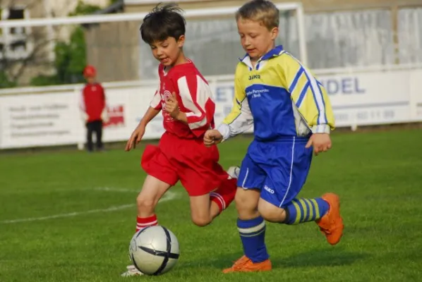 F1 gegen Schweina(4.2009)