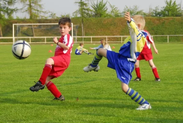 F1 gegen Schweina(4.2009)