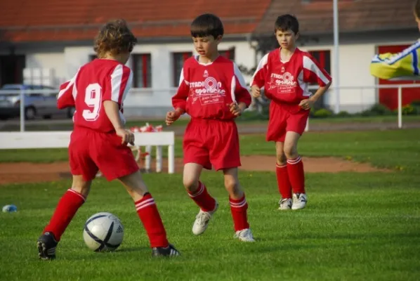 F1 gegen Schweina(4.2009)