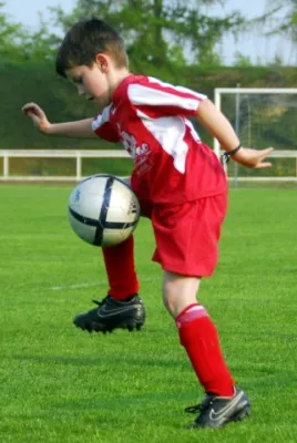 F1 gegen Schweina(4.2009)