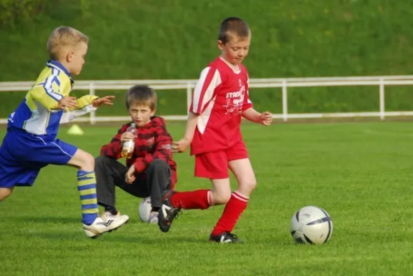 F1 gegen Schweina(4.2009)