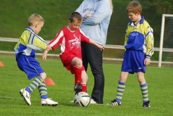 F1 gegen Schweina(4.2009)