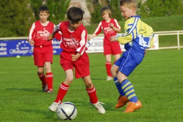 F1 gegen Schweina(4.2009)