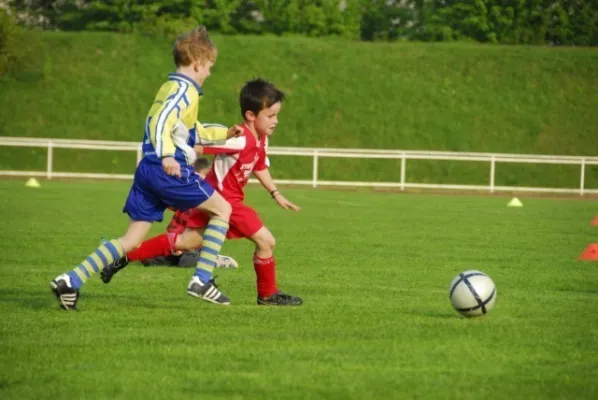 F1 gegen Schweina(4.2009)