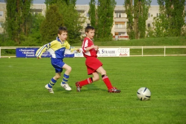 F1 gegen Schweina(4.2009)