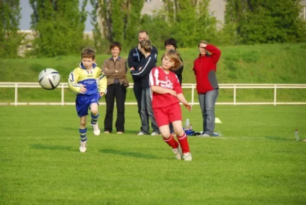 F1 gegen Schweina(4.2009)