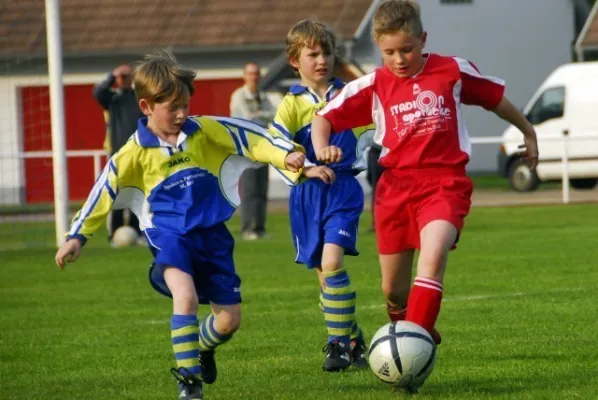 F1 gegen Schweina(4.2009)