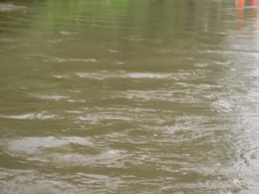 Wacker-Regatta-Männertag(Teil 2)