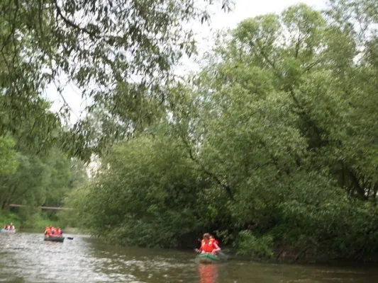 Wacker-Regatta-Männertag(Teil 2)