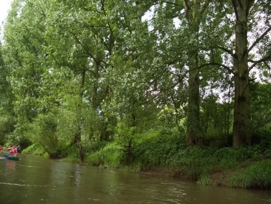 Wacker-Regatta-Männertag(Teil 2)