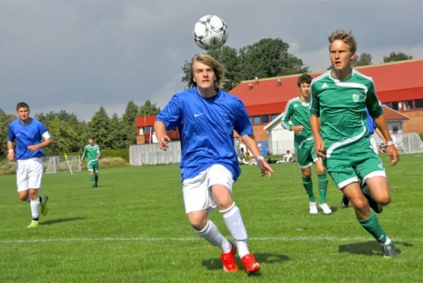 Dänemark 2009(bearbeitet)