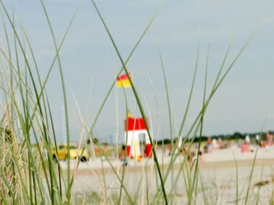 +++++Cup-Dänemark 2010 (Strand)Cup-Denmark 2010