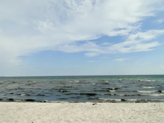 +++++Cup-Dänemark 2010 (Strand)Cup-Denmark 2010