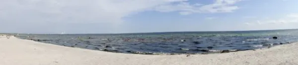 +++++Cup-Dänemark 2010 (Strand)Cup-Denmark 2010