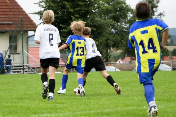 +D1 gegen Ilmenau(8.2010)++++