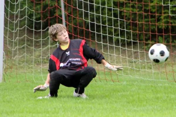 +D1 gegen Ilmenau(8.2010)++++