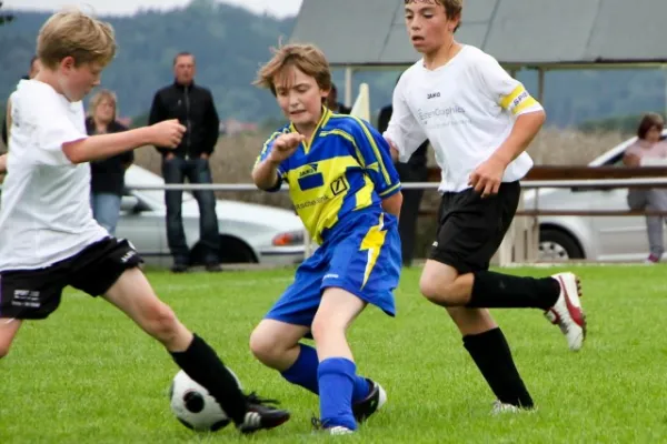 +D1 gegen Ilmenau(8.2010)++++