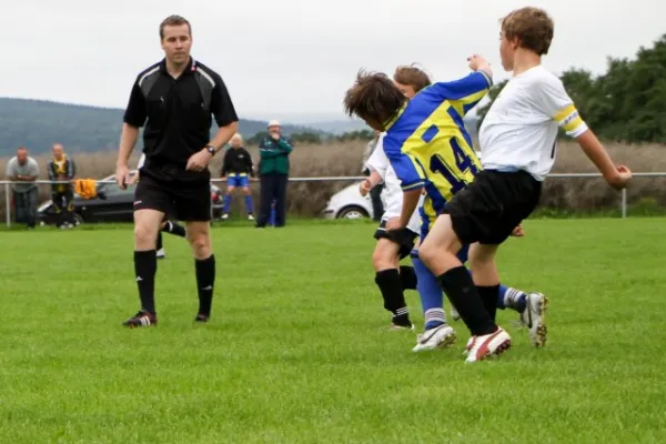 +D1 gegen Ilmenau(8.2010)++++