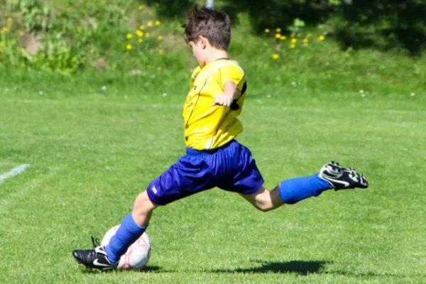 ++D1 in Gehren(8.2010)