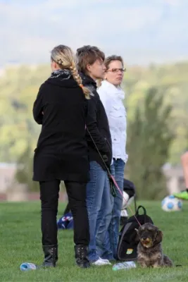 ++D2 gegen Meimers (9.2010)