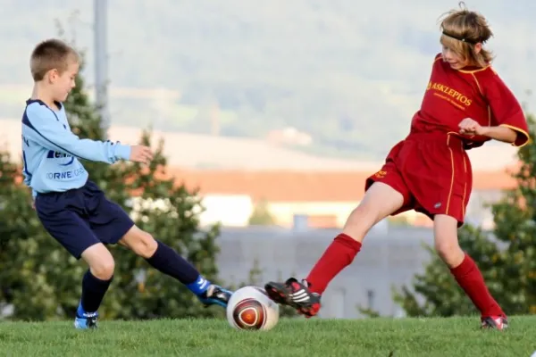 ++D2 gegen Meimers (9.2010)