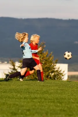 ++D2 gegen Meimers (9.2010)