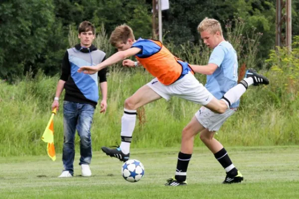 +++++Dänemark 2011+++++