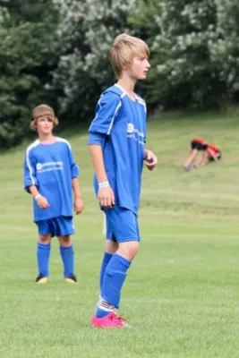 +++++Dänemark 2011+++++