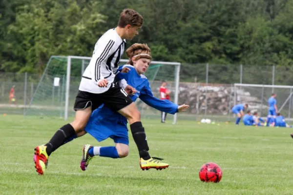 +++++Dänemark 2011+++++